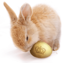 Osterhase_Ei_Sinzinger_Osteroeffnungszeiten